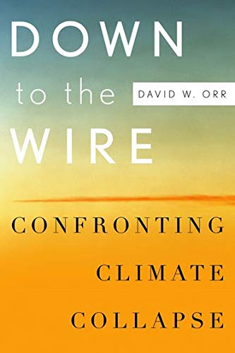 Down to the Wire: Confronting Climate Collapse,Used