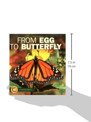 From Egg to Butterfly (Start to Finish),Used