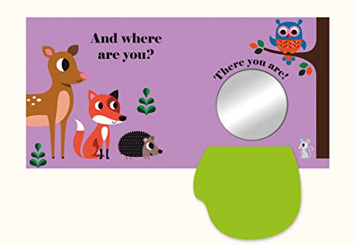 Wheres Mr Owl,Used