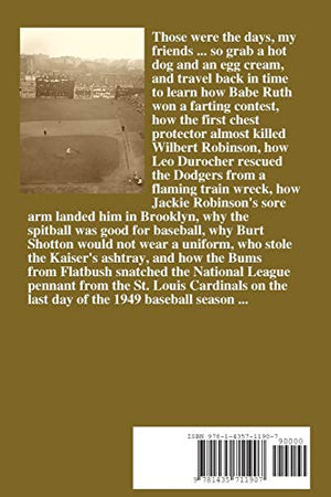 Bird Hunting In Brooklyn: Ebbets Field, The Dodgers & The 1949 National League Pennant Race,Used