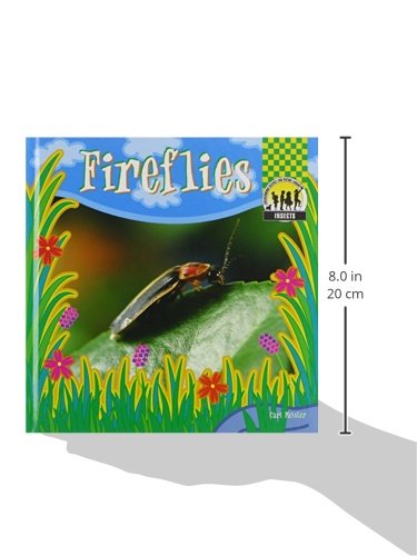 Fireflies (Insects),Used