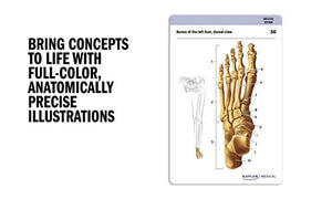 Anatomy Flashcards