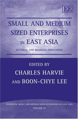 Small and Medium Sized Enterprises in East Asia: Sectoral and Regional Dimensions (Studies of Small and Medium Sized Enterprises,Used