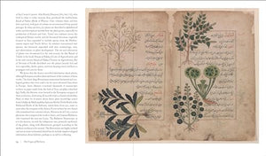 Herbarium: The Quest To Preserve And Classify The World'S Plants