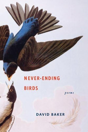 NeverEnding Birds: Poems,New