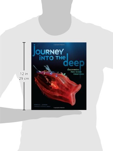 Journey Into The Deep: Discovering New Ocean Creatures