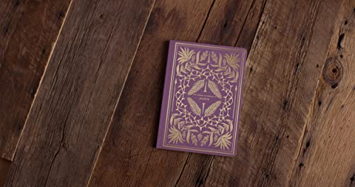 ESV Illuminated Scripture Journal: John,New
