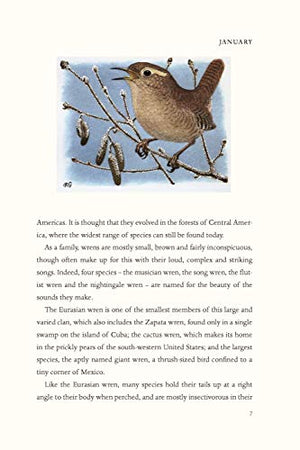 The Wren: A Short Biography,Used