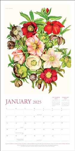 New York Botanical Garden 2025 Wall Calendar,Used