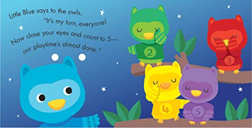 Hoot: A holesome book of counting (My Little World),Used