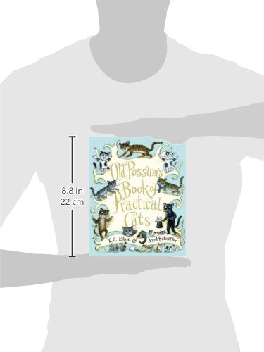 Old Possum'S Book Of Practical Cats,Used
