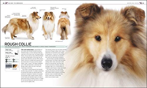 Complete Dog Breed Book,New