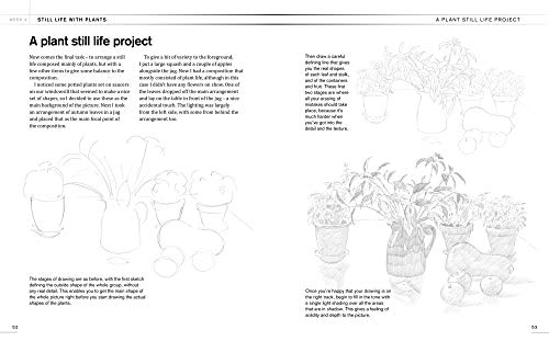 6Week Drawing Course