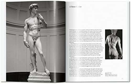 Michelangelo: 14751564: Universal Genius Of The Renaissance