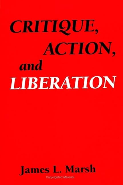 Critique, Action, And Liberation (Suny Series In The Philosophy Of The Social Sciences),New