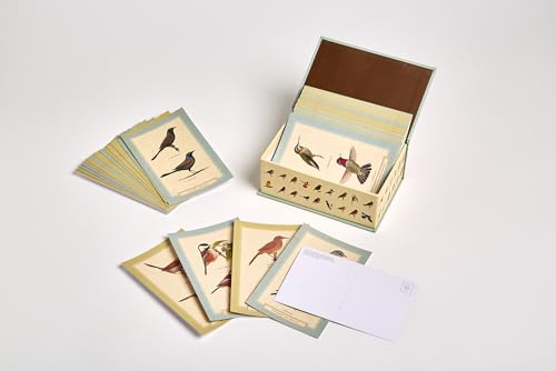 Sibley Backyard Birding Postcards: 100 Postcards (Sibley Birds),New