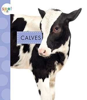 Calves (Spot Baby Farm Animals)