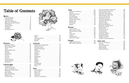 Big School of Drawing: Wellexplained, practiceoriented drawing instruction for the beginning artist (Big School of Drawing, 1),Used