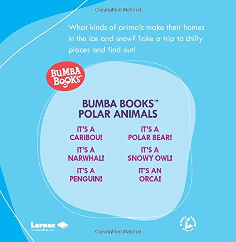 It's a Snowy Owl! (Bumba Books   Polar Animals),Used
