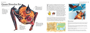 Predators: The World's Deadliest Animals,Used