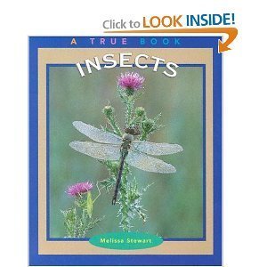 Insects (True Books: Animals)