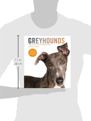 Greyhounds-Used