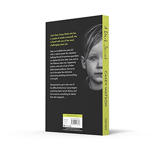 A Dark Secret: A compelling fostering memoir from the Sunday Times bestselling author,Used