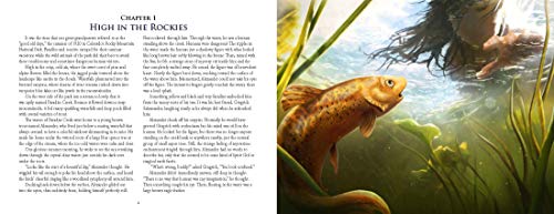 Alexander Trout's Amazing Adventure,Used