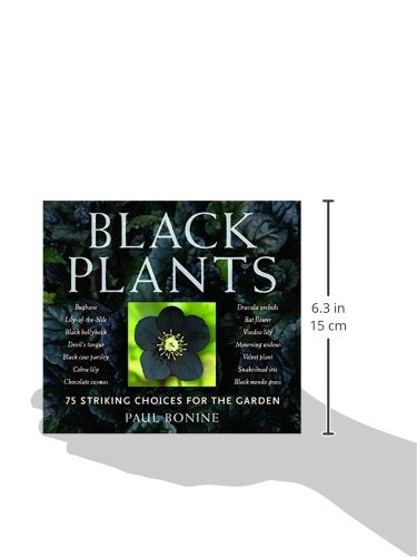 Black Plants: 75 Striking Choices For The Garden