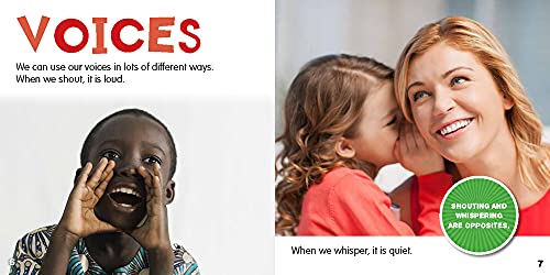 Loud and Quiet (Opposites),Used
