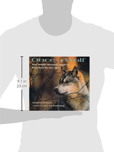 Once A Wolf: How Wildlife Biologists Fought To Bring Back The Gray Wolf: How Wildlife Biologists Fought to Bring Back the Gray W,Used
