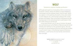Animal Spirits Knowledge Cards : Paintings By Susan Seddon Boulet,New