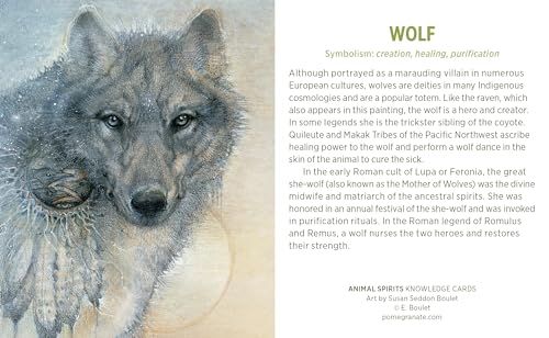 Animal Spirits Knowledge Cards : Paintings By Susan Seddon Boulet,New