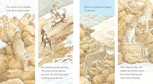 Snow Leopard: Grey Ghost of the Mountain (Nature Storybooks),Used