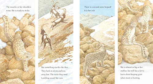 Snow Leopard: Grey Ghost of the Mountain (Nature Storybooks),Used