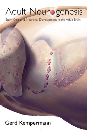 Adult Neurogenesis: Stem Cells And Neuronal Development In The Adult Brain,New