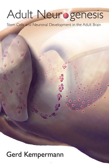Adult Neurogenesis: Stem Cells And Neuronal Development In The Adult Brain,New