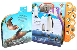 Discovery: Roar At The Zoo! (10Button Sound Books) (Image On Book May Slightly Vary)