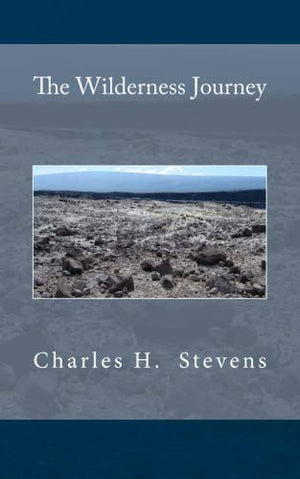 The Wilderness Journey,Used