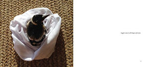 Penguin the Magpie: The Odd Little Bird Who Saved a Family,New