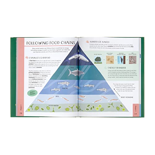 Biology for Curious Kids: Discover the Wondrous Living World! (Curious Kids, 1),Used