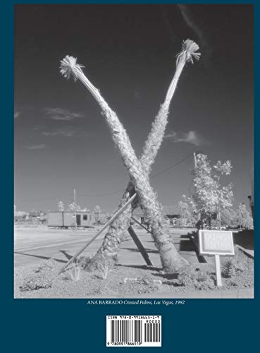 The JG Ballard Book,Used