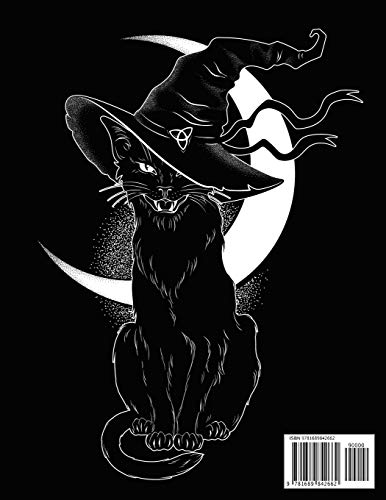 Notebook: Black & White Cat Notebook with Glossy CoverWideRuled 110 Pages Perfect gift for Halloween, Cat Lovers, Students,Used