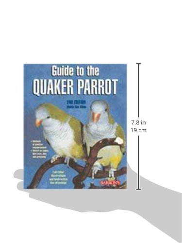 Guide To The Quaker Parrot
