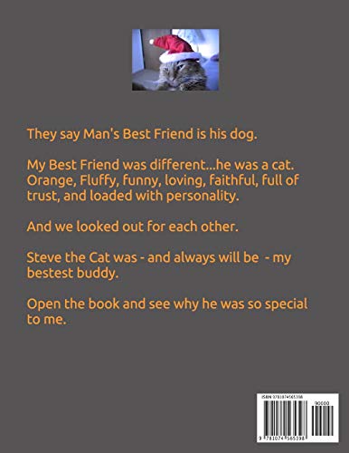 STEVE THE CAT,Used