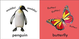 Baby Touch And Feel: Animals,Used