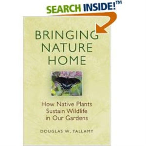 Bringing Nature Home: How Native Plants Sustain Wildlife In Our Gardens