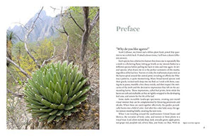 Agaves: Living Sculptures for Landscapes and Containers,Used