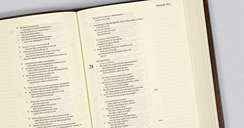 Esv Single Column Journaling Bible (Trutone, Chestnut, Leaves Design)