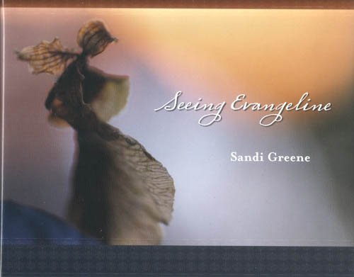 Seeing Evangeline,Used